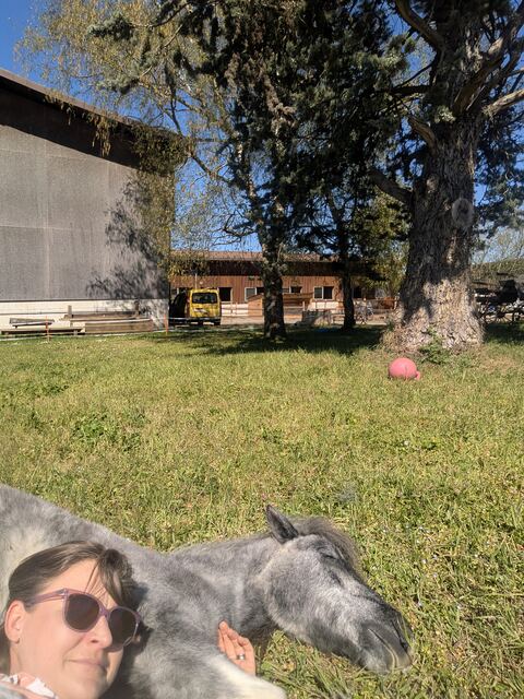 Pleine conscience — photo 3