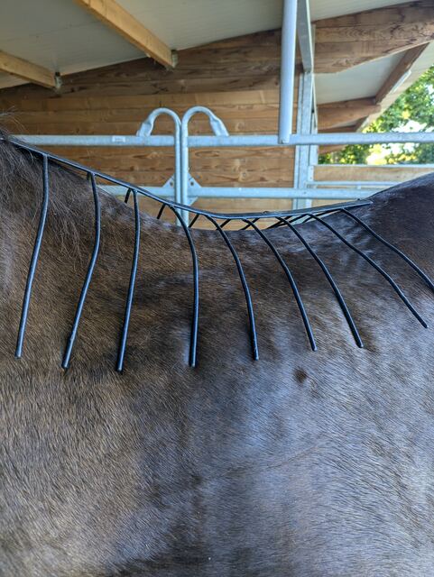 Selle — photo 1